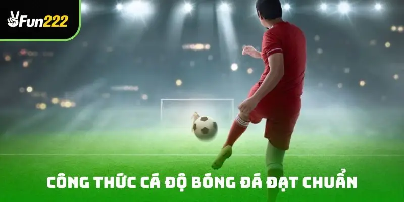 Công thức cá độ bóng đá đạt chuẩn