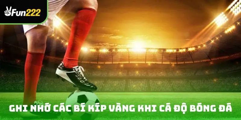 Ghi nhớ ngay các bí kíp vàng khi cá độ bóng đá