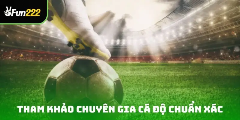 Tham khảo chuyên gia cá độ chuẩn xác